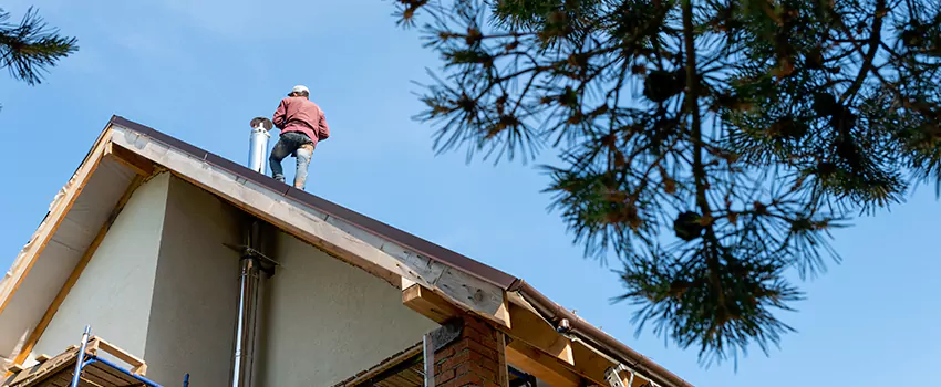 Birds Removal Contractors from Chimney in North Babylon, NY